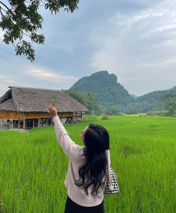 Bạn có thể ghé thăm thôn Lùng Tao Hà Giang bằng bất kỳ phương tiện nào