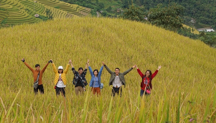 Ghé thăm thôn Lùng Tao Hà Giang vào mùa lúa chín đẹp như tranh