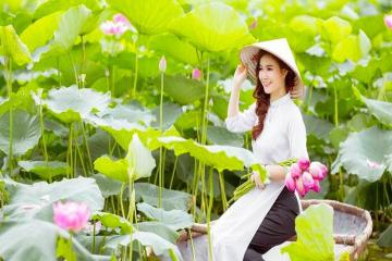 Về Đồng Tháp Mười ngắm mùa sen hồng nở rộ rực rỡ