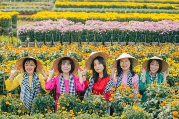 Ngẩn ngơ trước khung cảnh rực rỡ tại các làng hoa đẹp nổi tiếng ở miền Tây