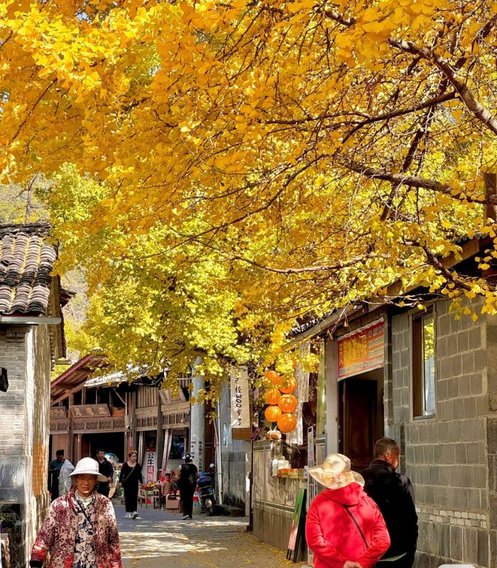 Địa điểm checkin đẹp khi du lịch Làng Ngân Hạnh Đằng Xung mùa thu