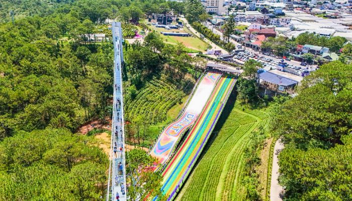 Cầu kính Ngàn Thông kết hợp Đường trượt Cầu Vồng 