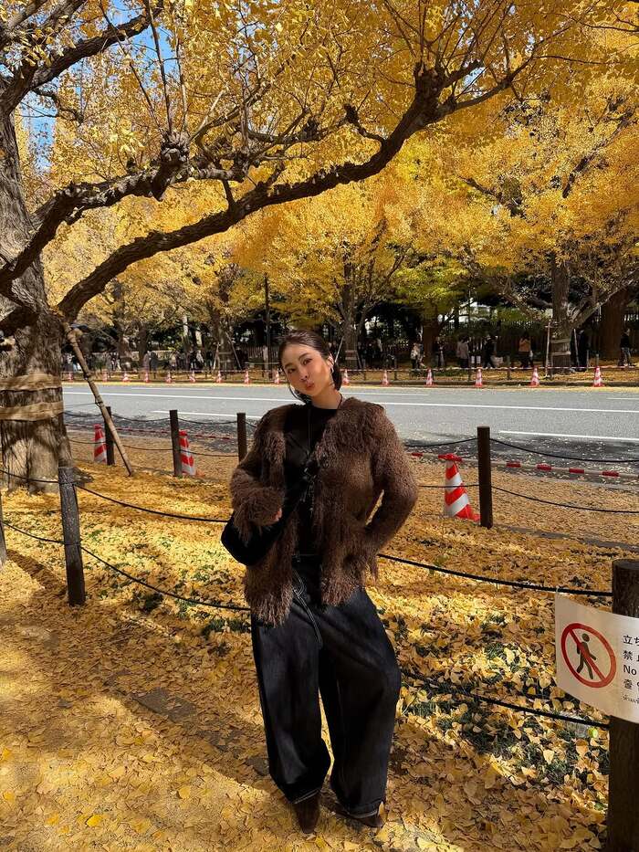 Tổng hợp các địa điểm ngắm lá đỏ Nhật Bản - Đại lộ bạch quả vàng Meiji Jingu Gaien