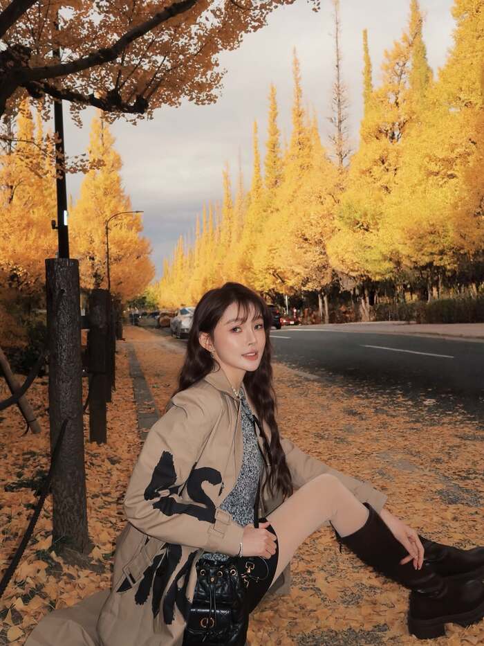 Tổng hợp các địa điểm ngắm lá đỏ Nhật Bản - Đại lộ bạch quả vàng Meiji Jingu Gaien