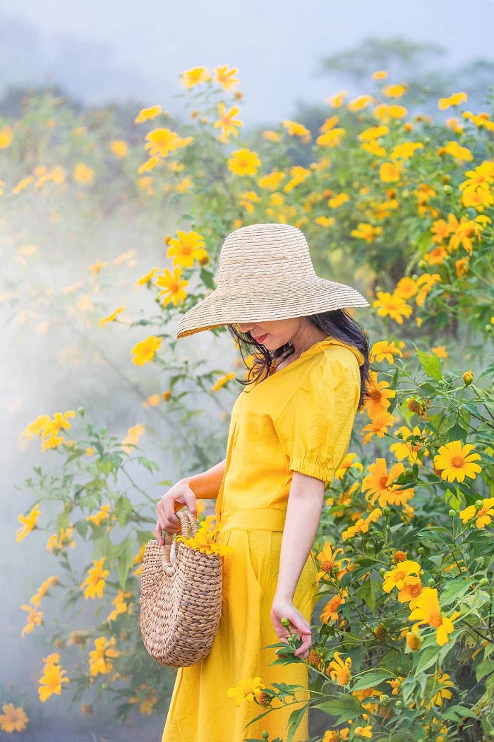 Bỏ túi điểm ngắm hoa dã quỳ ở miền Bắc
