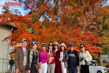 Top 3 tour Nhật Bản mùa thu bán chạy nhất 2026