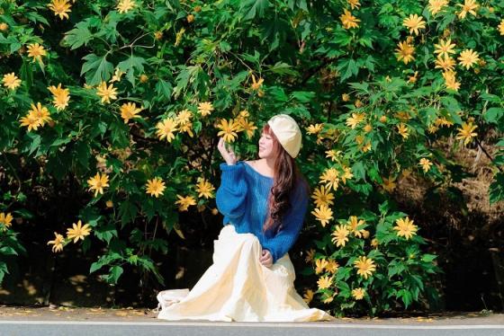 Đã tìm ra 3 điểm ngắm hoa dã quỳ ở miền Bắc đẹp nhức nách