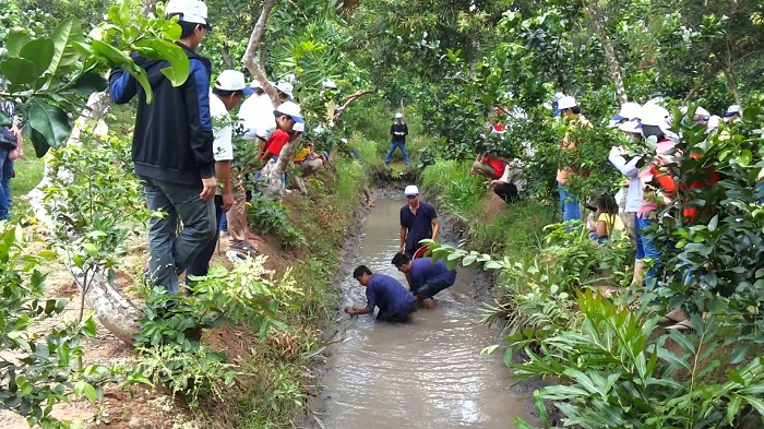 Khu du lịch Cồn Quy