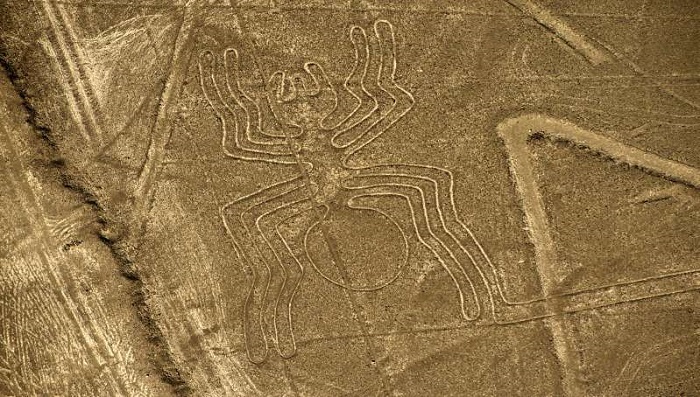 Tìm thấy hình vẽ chú mèo thư giãn khổng lồ 2000 năm tuổi được khắc trên  sườn đồi ở Peru  Epoch Times Tieng Viet