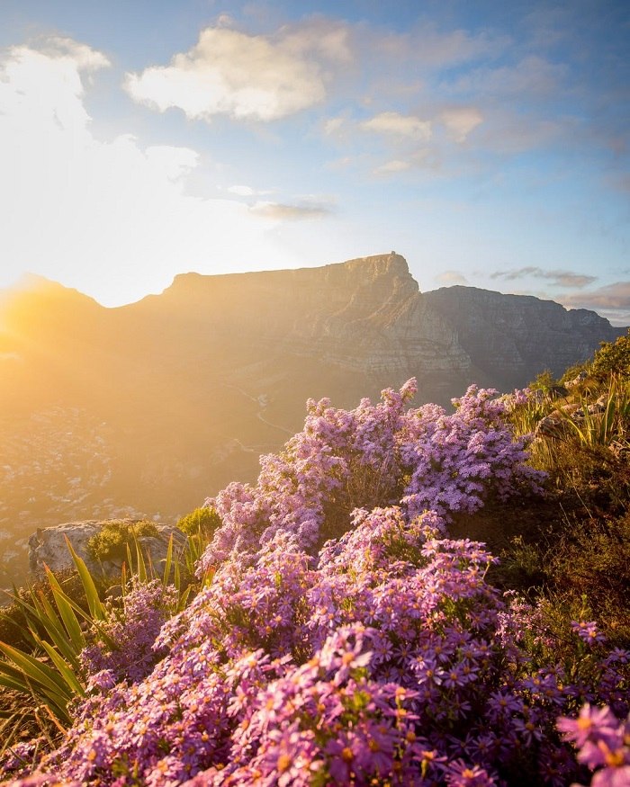 Western Cape điểm du lịch không có mùa đông 