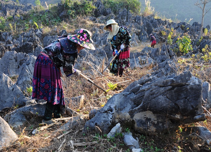 điểm đến ở Điện Biên