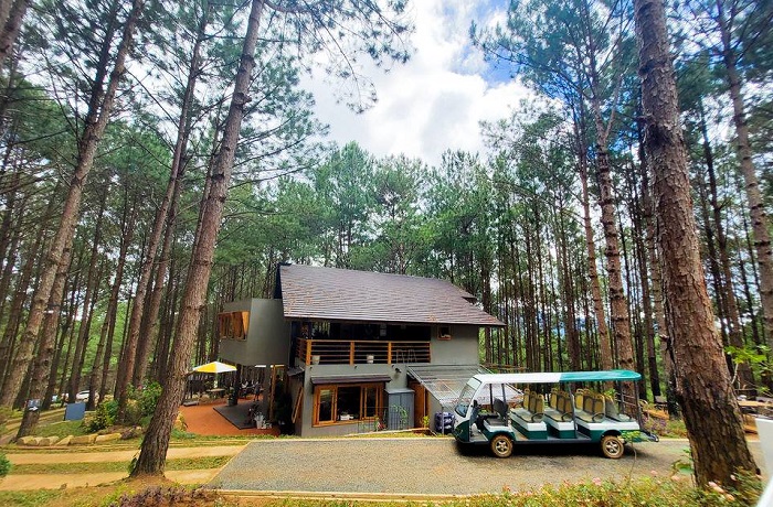 Rừng Thông Mơ Farm & Bistro