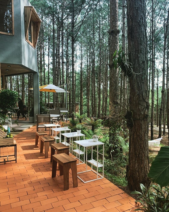 Rừng Thông Mơ Farm & Bistro