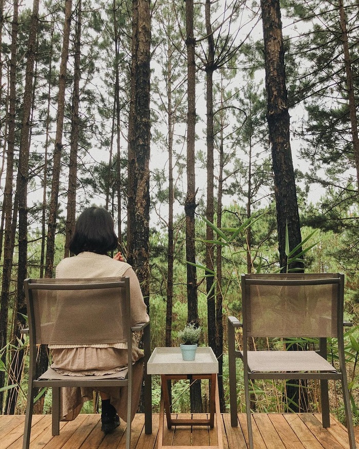 Rừng Thông Mơ Farm & Bistro