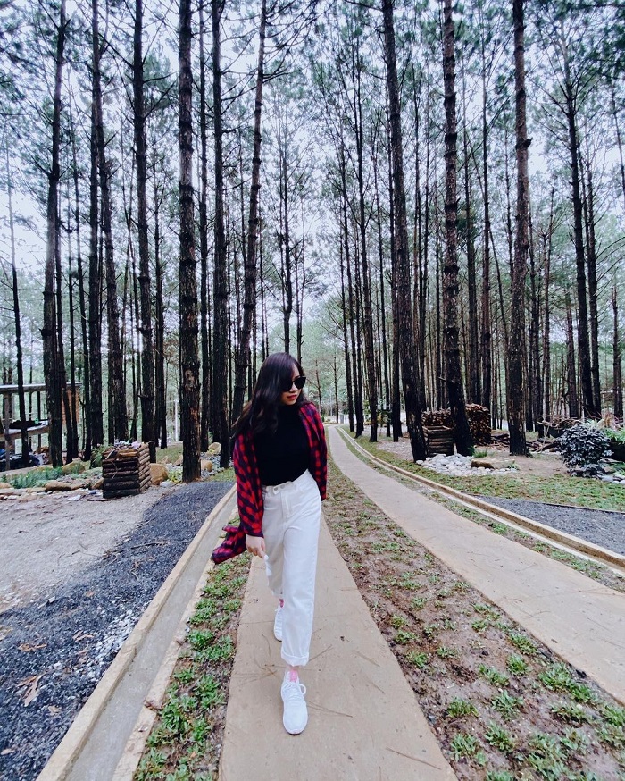 Rừng Thông Mơ Farm & Bistro
