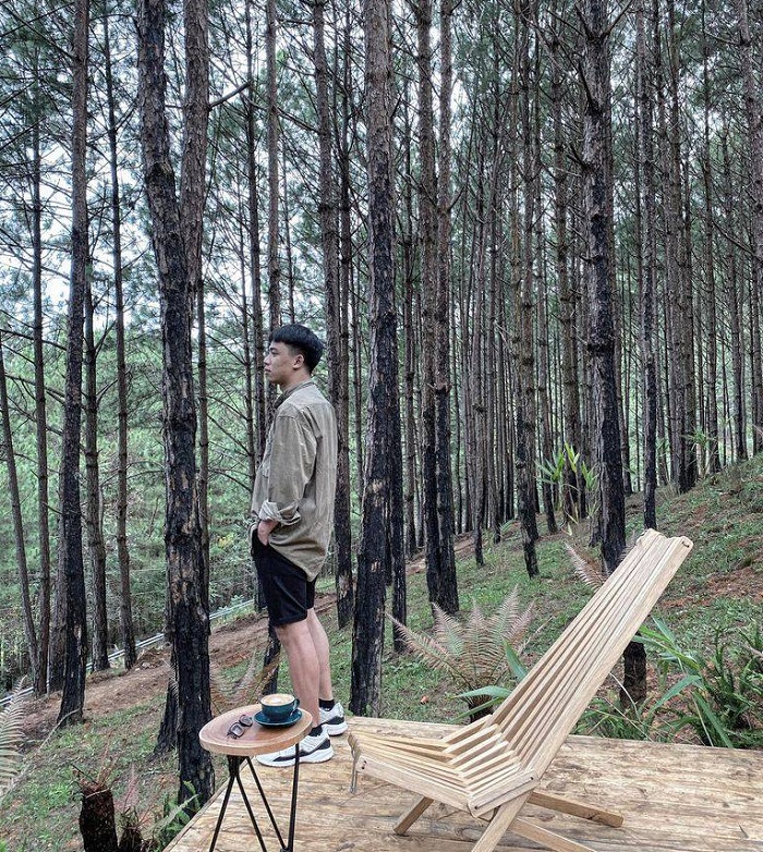 Rừng Thông Mơ Farm & Bistro