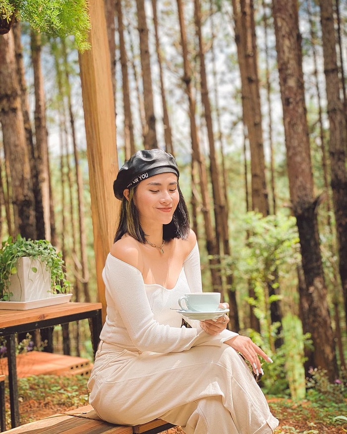 Rừng Thông Mơ Farm & Bistro