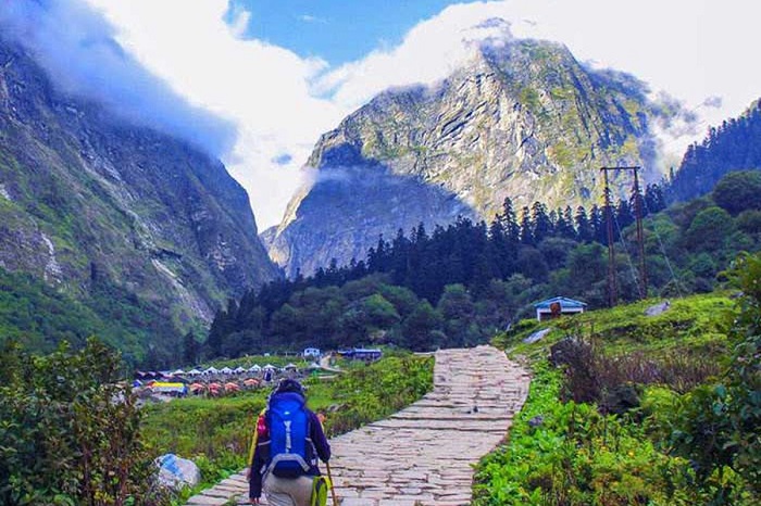 Nơi đây cảnh sắc đẹp khỏi bàn cãi nhưng cũng đường đến với thung lũng Bhyundar thực sự gian nan. Ảnh: Pinterest