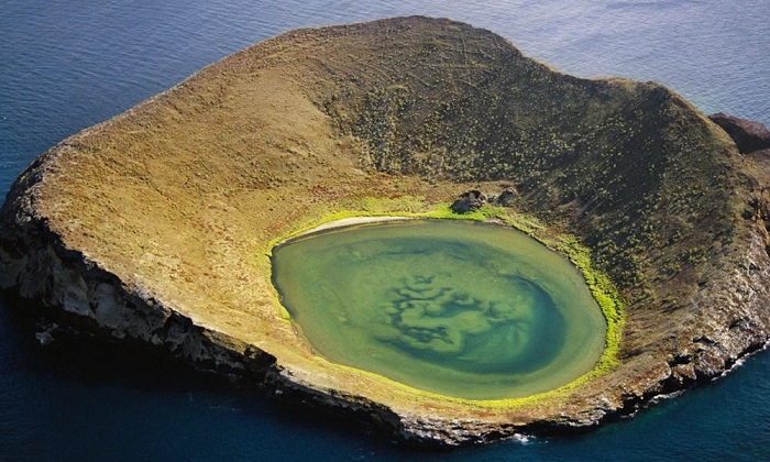 Quần đảo Galapagos của Ecuador nổi tiếng với các loài động vật quý hiếm và một số loài đã truyền cảm hứng cho Charles Darwin tạo nên hòn đảo có hình dạng kỳ lạ Isabela