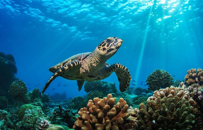 Mùa đông du lịch ở đâu