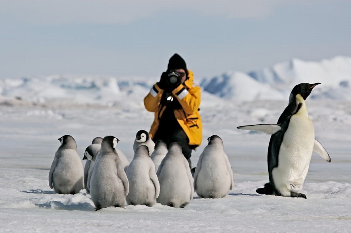 sa mạc độc đáo trên thế giới