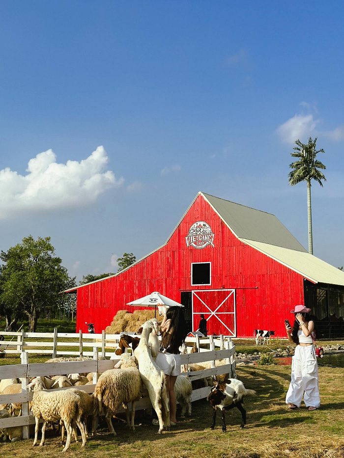 Vietgangz Farm Ocean Park chỉ cách trung tâm Hà Nội 20km