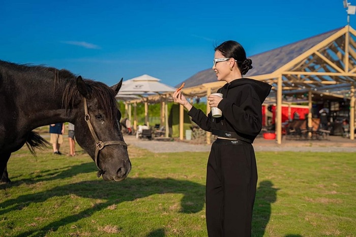 Vườn thú tại Vietgangz Farm Ocean Park có nhiều loài thú độc đáo