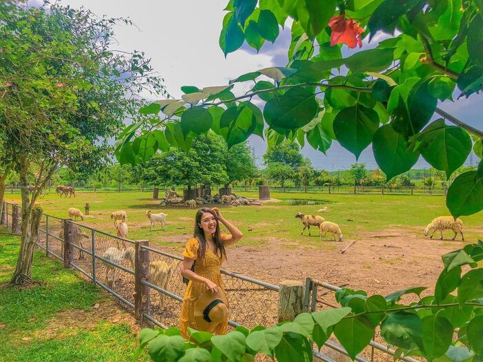 địa điểm dã ngoại cho trẻ em ở TP. HCM sở hữu không gian xanh thơ mộng