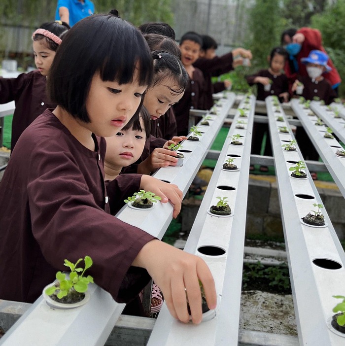 học trồng chăm sóc cây tại địa điểm dã ngoại cho trẻ em ở TP. HCM