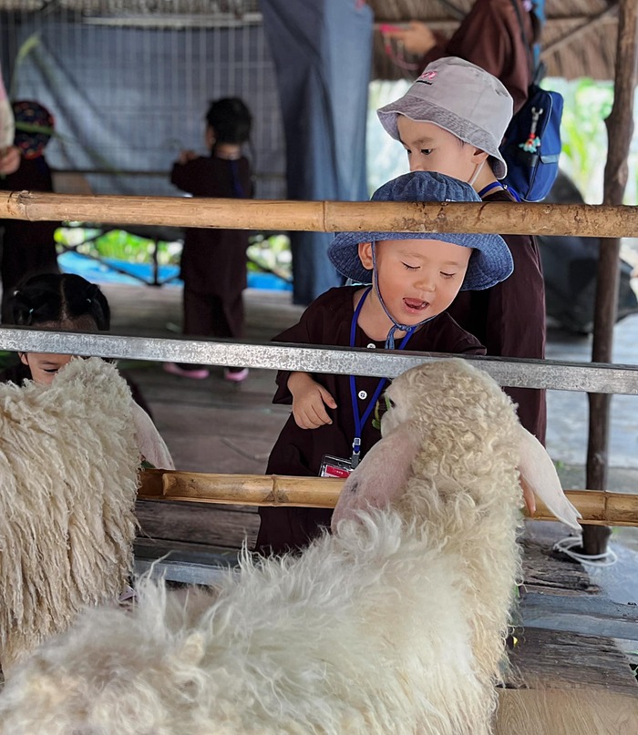 làm quen với những người bạn đặc biệt tại địa điểm dã ngoại cho trẻ em ở TP. HCM