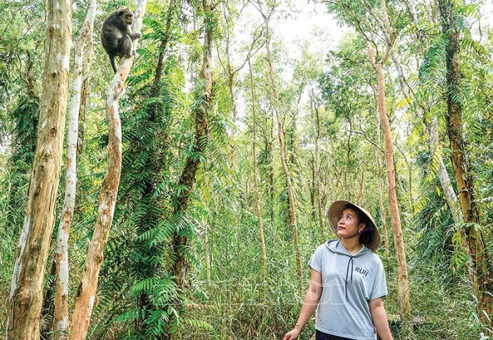 khu du lịch sinh thái Sông Trẹm