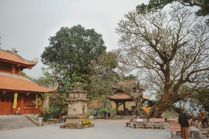 Chùa Thanh Mai với rừng phong Chí Linh mang vẻ đẹp cổ kính