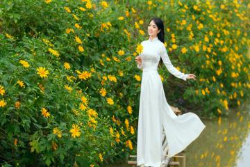Cuối năm rủ hội cạ cứng lên đồ săn ảnh tại các địa điểm ngắm hoa dã quỳ ở Việt Nam ‘đẹp như mộng’