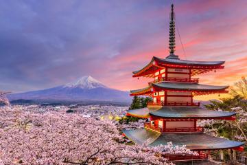 Kinh nghiệm du lịch Nhật Bản chi tiết từ A-Z 2023 - 2024