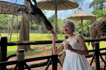 ‘Nạp năng lượng’ sau hành trình khám phá thế giới động vật thú vị tại 3 nhà hàng ngon ở Vinpearl Safari Phú Quốc