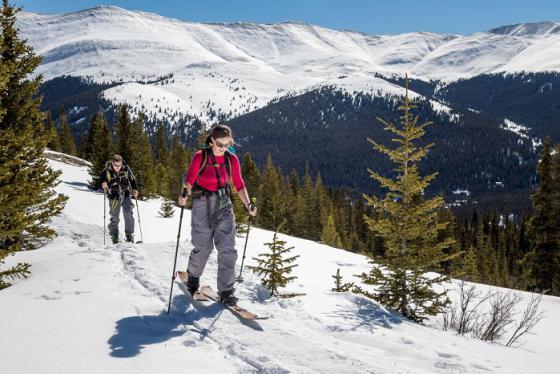 Du lịch Canmore: Khám phá thị trấn xinh đẹp nhất Alberta, Canada