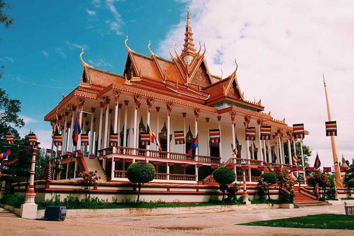 trải nghiệm ngắm cá heo sông Mekong