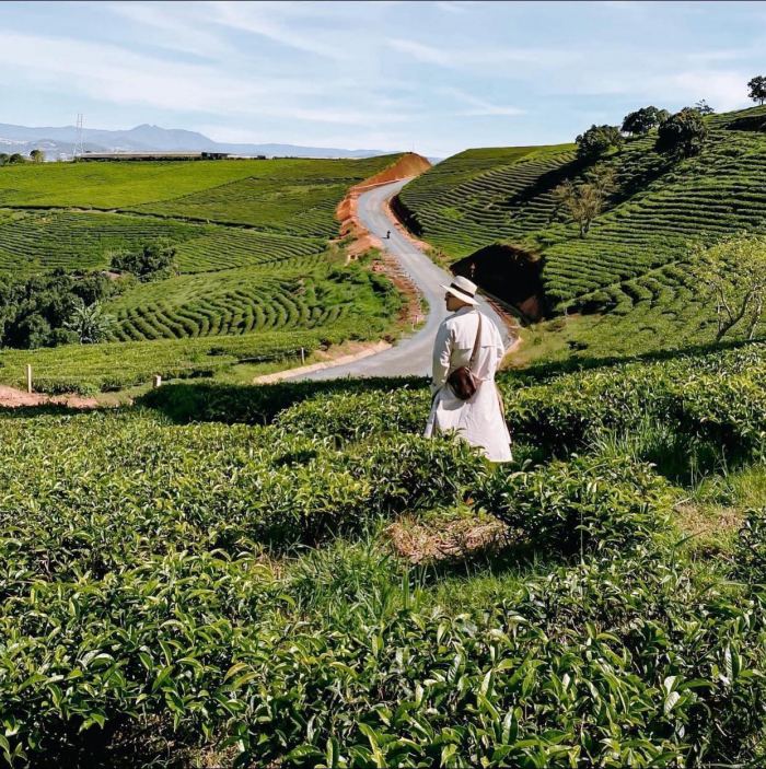 điểm thăm quan nổi tiếng ở Đà Lạt 
