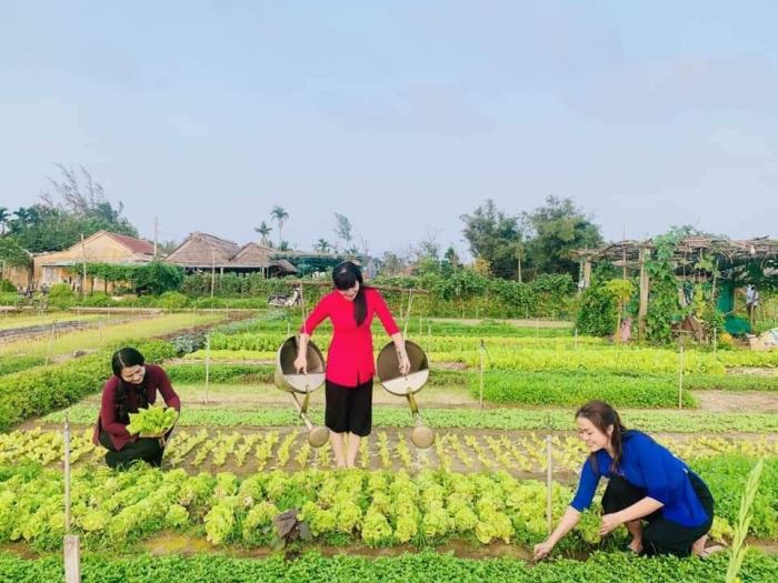  Kinh nghiệm du lịch làng rau Trà Quế Hội An