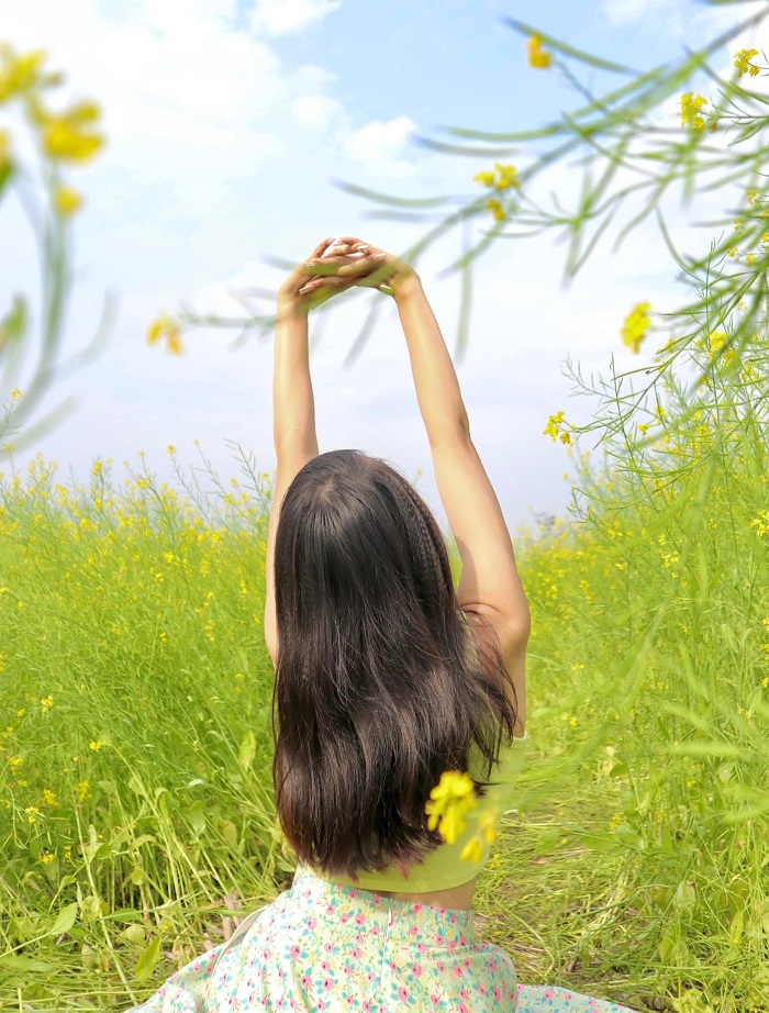 địa chỉ cánh đồng hoa cải ở hà nội chỉ toàn hoa cải là hoa cải
