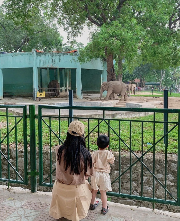 Công viên Thủ Lệ là địa điểm vui chơi cho trẻ em ở Quận Ba Đình Hà Nội