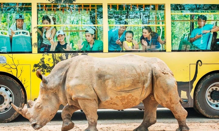 Du lịch Gành Dầu Phú Quốc, tham quan vườn thú Vinpearl Safari