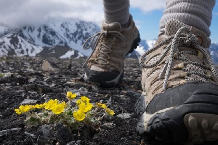 giày trekking