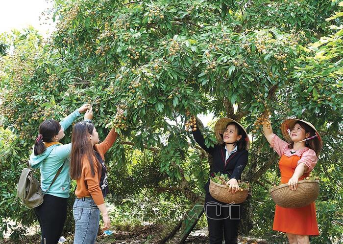 Khu du lịch sinh thái ở Cà Mau - Khu du lịch sinh thái sông Trẹm