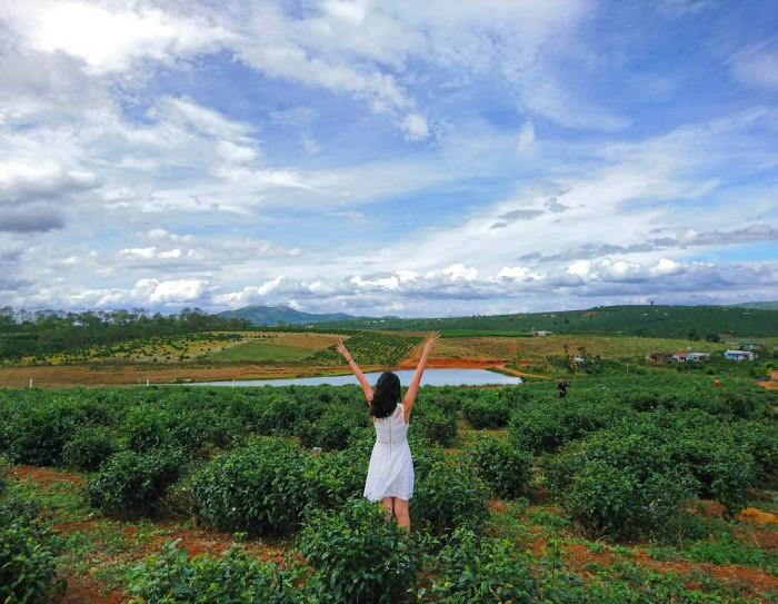 Kinh nghiệm du lịch Di Linh Lâm Đồng 