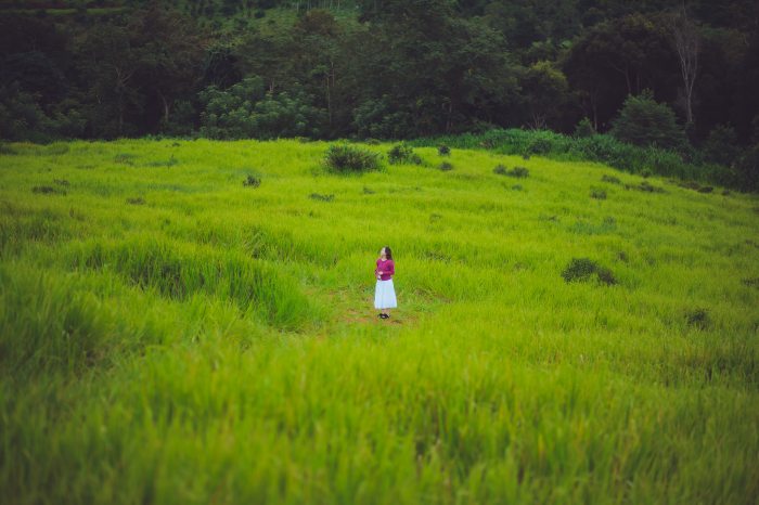 Kinh nghiệm du lịch đồi cỏ Măng Đen 