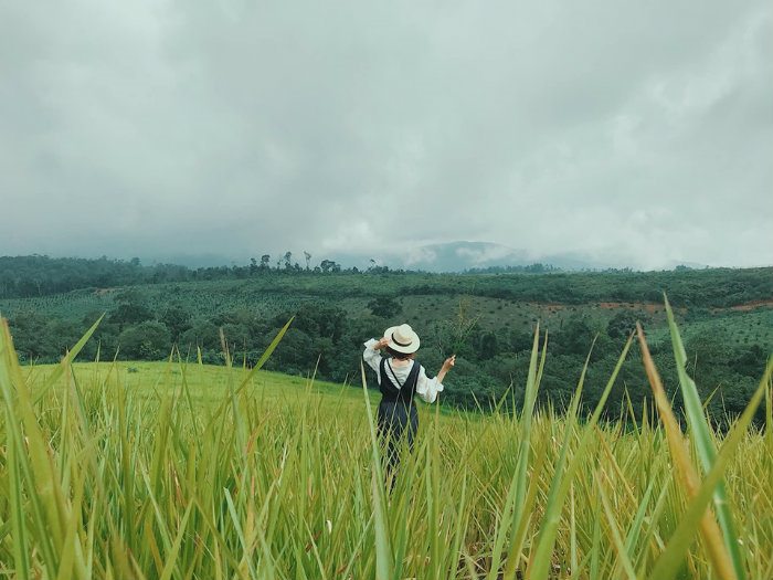 Kinh nghiệm du lịch đồi cỏ Măng Đen 