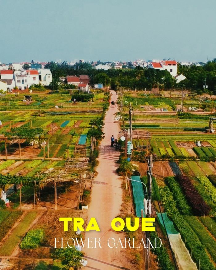  Kinh nghiệm du lịch làng rau Trà Quế Hội An