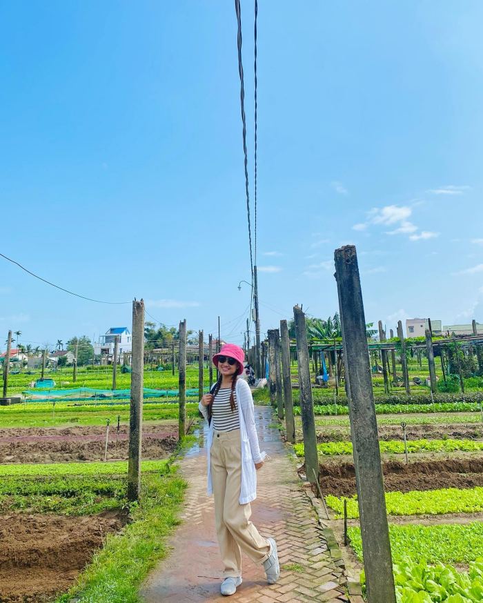  Kinh nghiệm du lịch làng rau Trà Quế Hội An