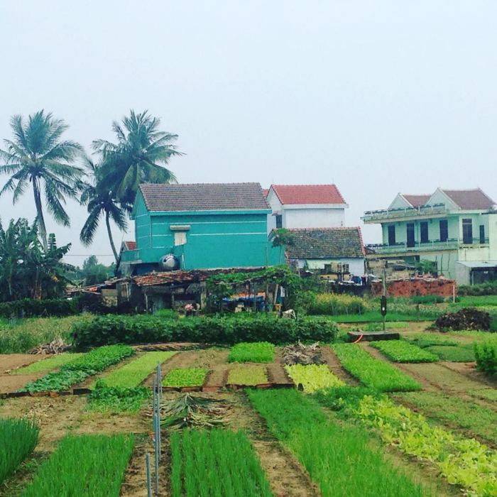  Kinh nghiệm du lịch làng rau Trà Quế Hội An